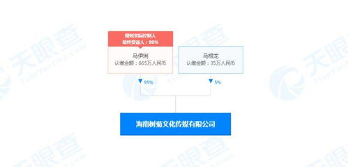 馬伊琍海南布局新賽道 文化傳媒公司成立，深耕演藝與網(wǎng)絡(luò)文化經(jīng)營