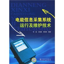 電能信息采集系統運行及維護技術 信息系統運行維護服務的關鍵實踐